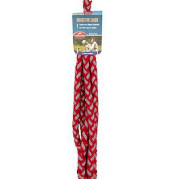 Reflective Dog Leash 5ft /1.5m - Picture 1 of 3
